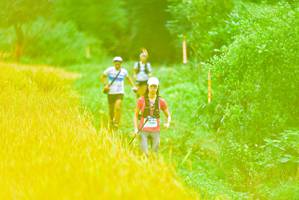 BIB: 
                            <button type="button" onclick="openModal(13456695)" class="btn btn-primary btn-sm float-right btn-popup" data-toggle="modal" data-target=".modal-high-quality">
                        <i class="fas fa-shopping-cart"></i> Add to Cart
                    </button>
                                            <button type="button" onclick="isThisMe(13456695, true)" class="btn btn-success btn-sm float-right btn-popup btn-isme hidden" data-toggle="tooltip" data-placement="bottom" title="นี่คือรูปของคุณใช่ไหม คลิกที่นี่เพื่อเอาเข้าอัลบั้ม">
                        <i class="fas fa-plus"></i> Add to album
                    </button>
                    <button type="button" onclick="isThisMe(13456695, false)" class="btn btn-warning btn-sm float-right btn-popup btn-isnotme hidden">
                        <i class="fas fa-ban"></i> Remove from album
                    </button>